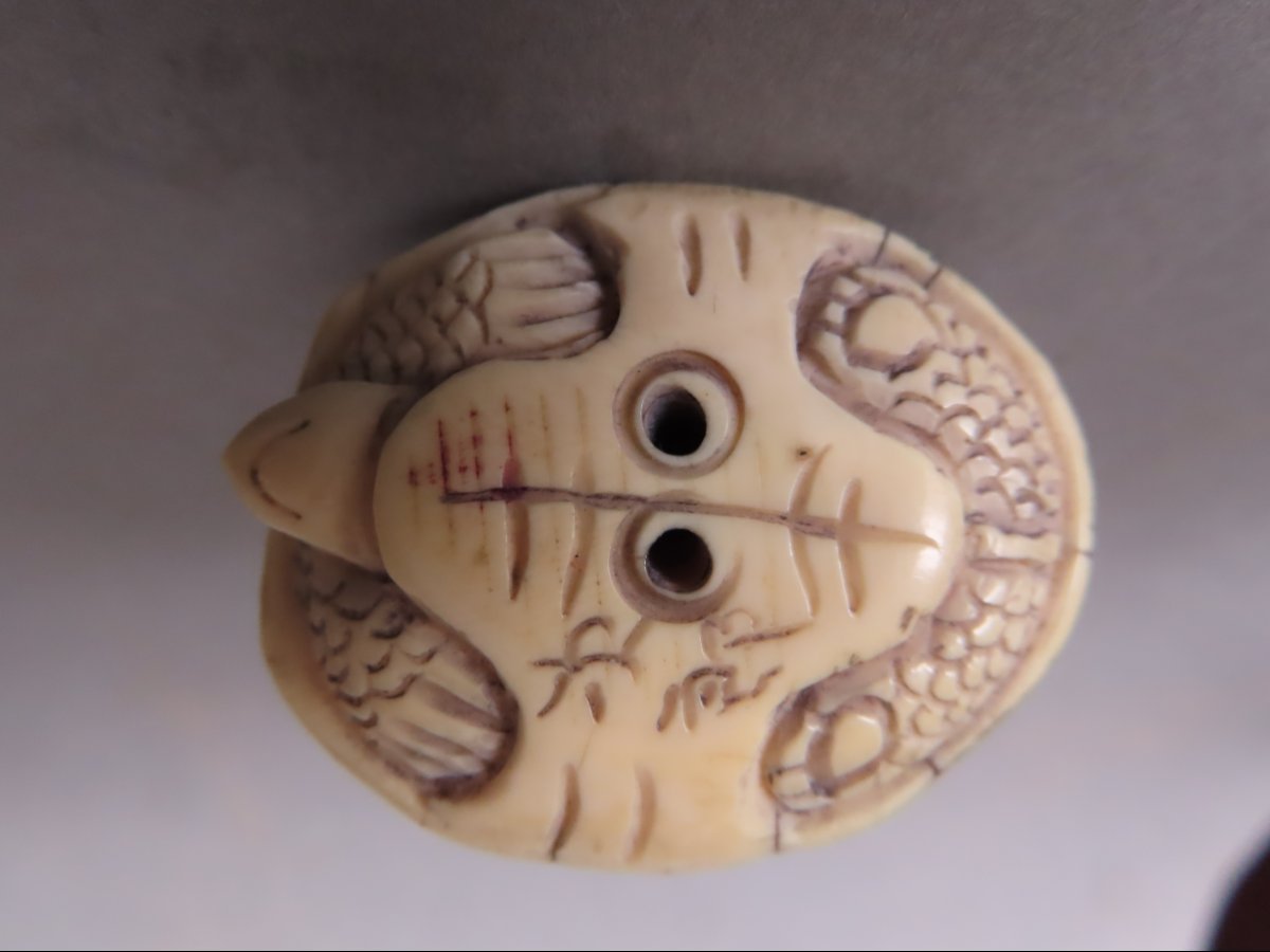 Ivory Netsuke. Turtles. Meiji Period, Japan (1868–1912)-photo-2