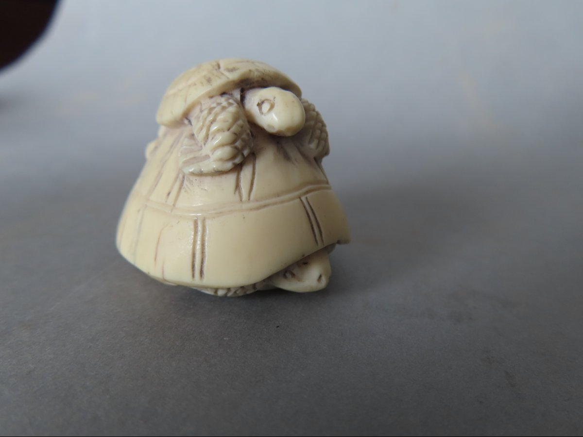 Ivory Netsuke. Turtles. Meiji Period, Japan (1868–1912)