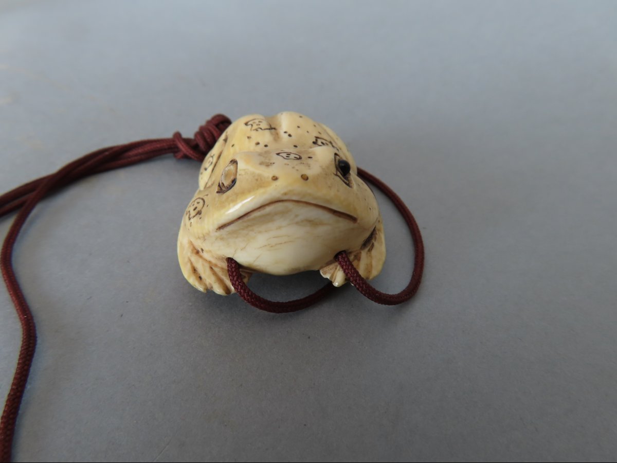 Netsuke érotique en ivoire marin. Crapaud. Curiosa. Japon époque Meiji (1868-1912 )-photo-4