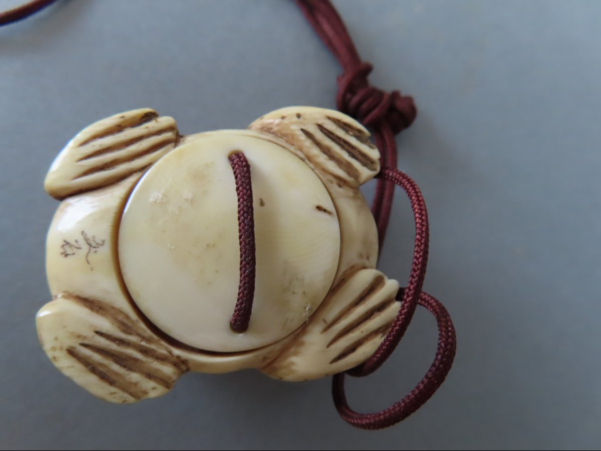 Netsuke érotique en ivoire marin. Crapaud. Curiosa. Japon époque Meiji (1868-1912 )-photo-1