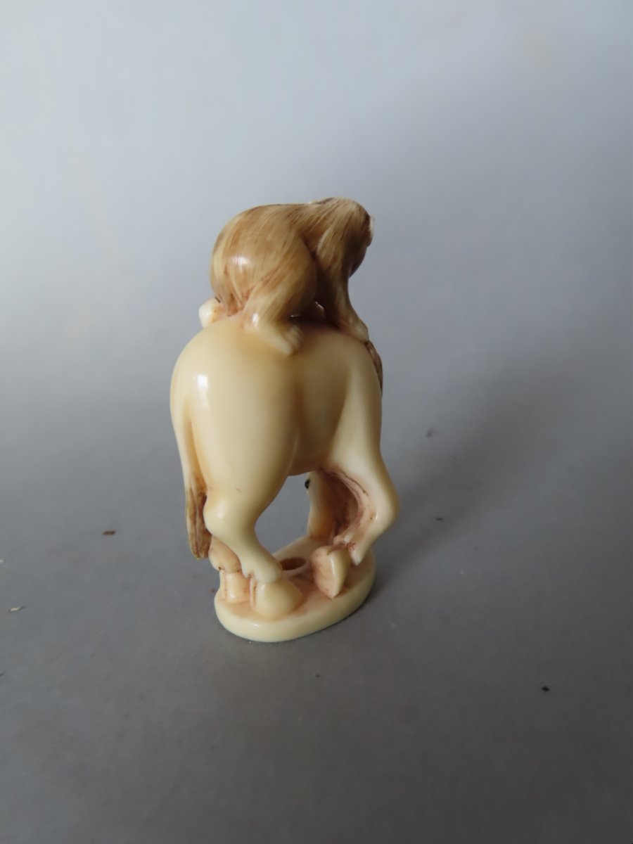 Ivory Netsuke. Monkey On A Horse. Japan, Taisho Period (1912–1928)-photo-3
