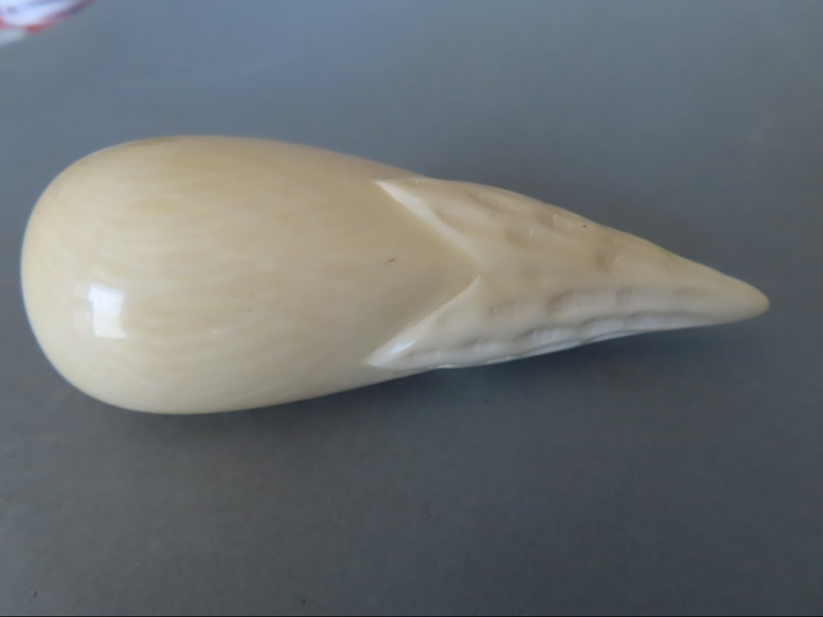 Four Exotic Fruits Carved From Ivory. Ivory Coast, 1930–40.-photo-4