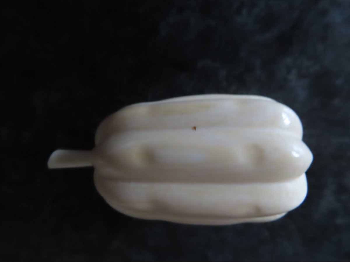 Four Exotic Fruits Carved From Ivory. Ivory Coast, 1930–40.-photo-3