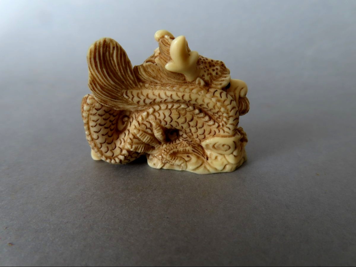 Netsuke  en ivoire. Dragon. Signé Tomotada, école de Kyoto. Japon époque Meiji (1868-1912 )-photo-3