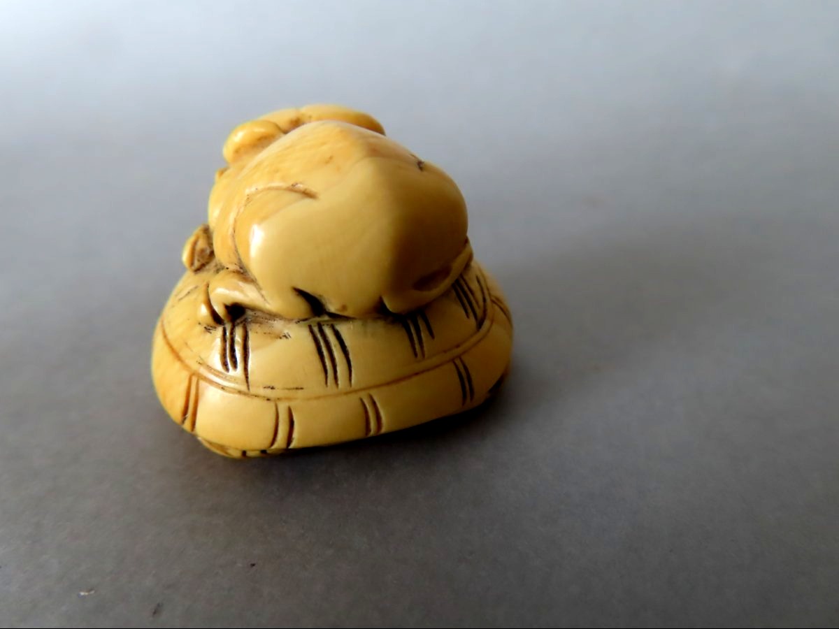 Ivory Netsuke. Buffalo On A Turtle. Meiji Period, Japan (1868–1912)-photo-3