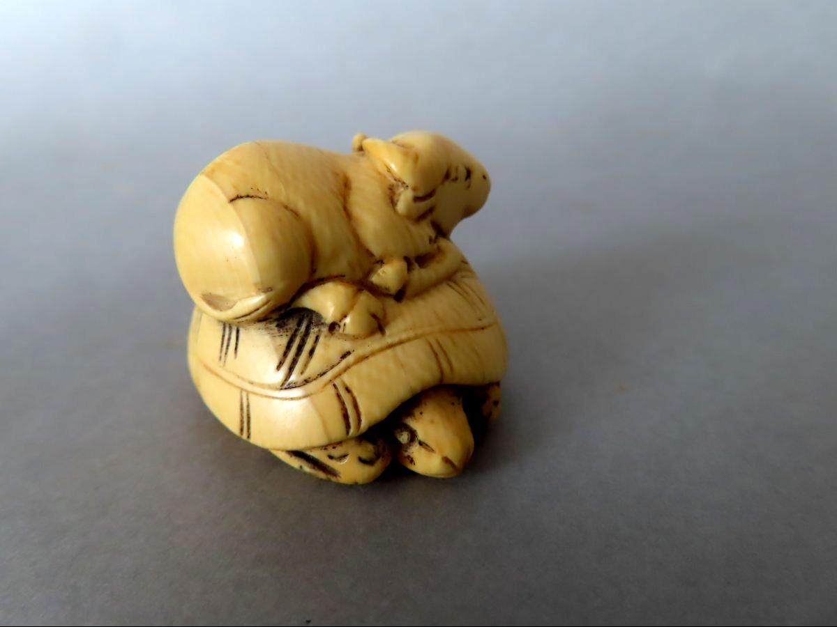 Ivory Netsuke. Buffalo On A Turtle. Meiji Period, Japan (1868–1912)-photo-4