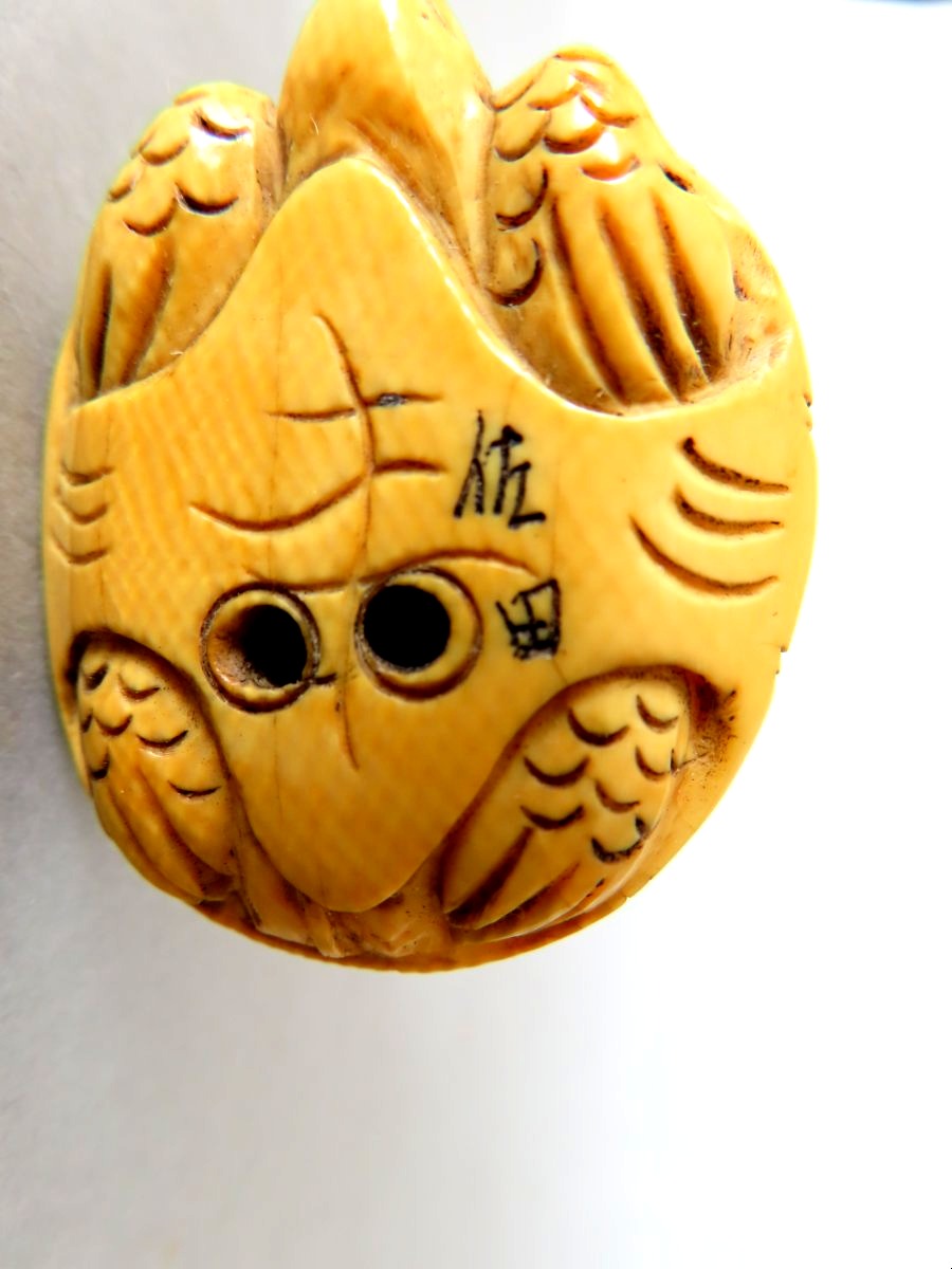 Ivory Netsuke. Buffalo On A Turtle. Meiji Period, Japan (1868–1912)-photo-3