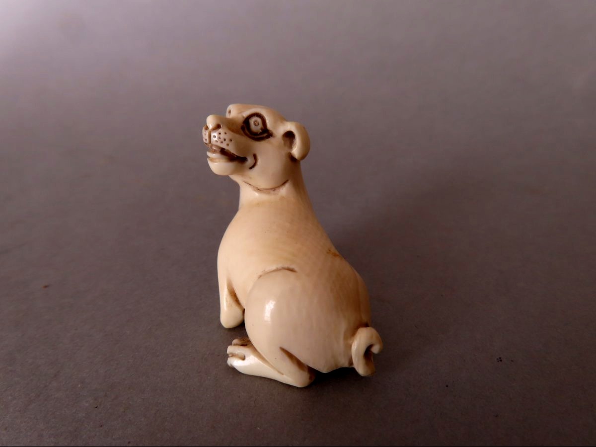 Netsuke en ivoire.  Chien couché. Japon époque Meiji (1868-1912 )-photo-2