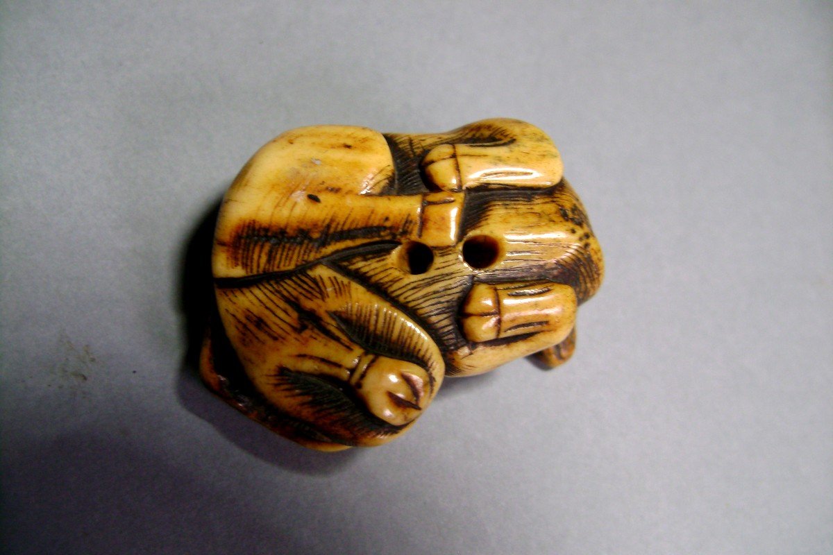 Netsuke In Deer Horn. Rice Paddy Buffalo Lying Down. Japan Edo Period (1603-1868)-photo-1