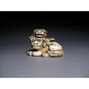 Netsuke en ivoire. Shishi et son petit. Signé Gyokuzan, école de Tokyo . Japon Meiji.