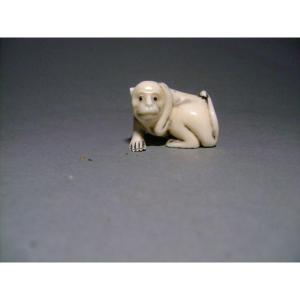 Ivory Netsuke. Thinking Monkey. Japan Taisho.