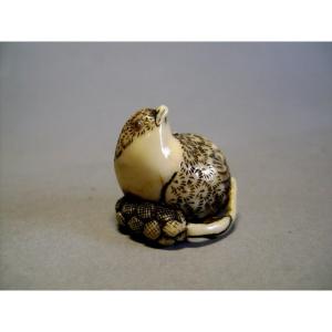 Netsuke en Ivoire. Caille sur un épi de millet. Japon époque Meiji (1868-1912 )