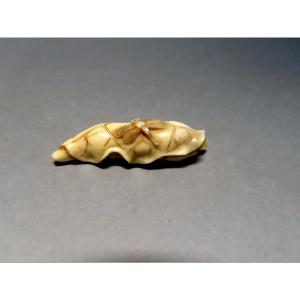 Ivory Netsuke. A Dragonfly On A Curled Lotus Leaf. Meiji Japan. (1868-912)
