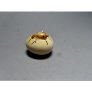 Netsuke en ivoire. Poussin dans l'oeuf. Japon époque Meiji (1868-1912 )