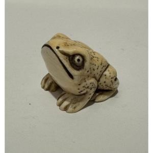 Netsuke en ivoire. Grenouille. Japon époque Meiji (1868-1912 )