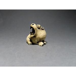 Netsuke en ivoire. Hippopotame. Japon époque Meiji (1868-912 )