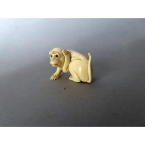 Ivory Netsuke. A Skeptical Monkey. Signed Tomotada, Kyoto School. Meiji Period, Japan.