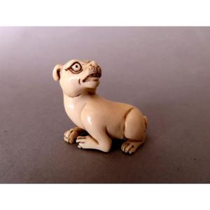 Netsuke en ivoire. Chien couché. Japon époque Meiji (1868-1912 )