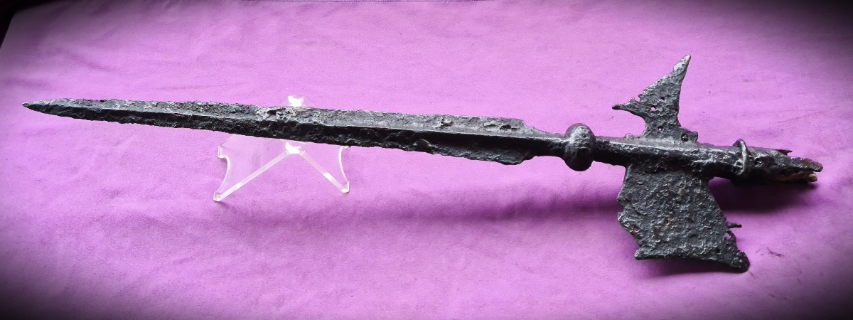 Très grande hallebarde italienne XVIème siècle.  Champ de bataille de Pavie.