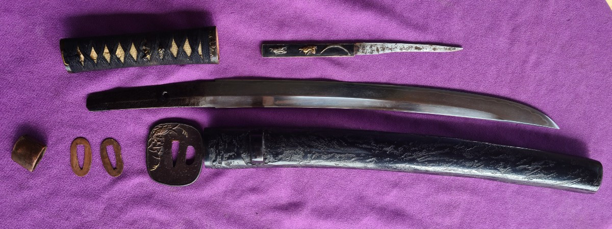 Edo Period Wakizashi, Interesting Mount, Unusual Blade Shape-photo-3