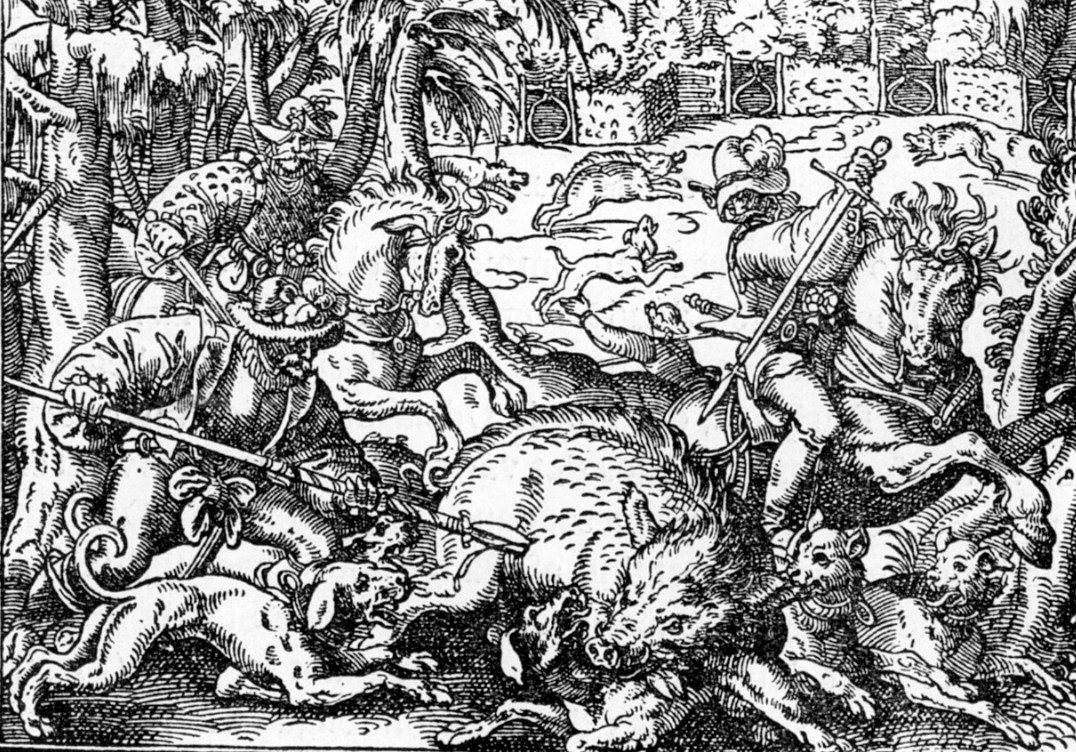 Grande épée de chasse XVIème  "Schweinschwert" probablement de louveterie -photo-8
