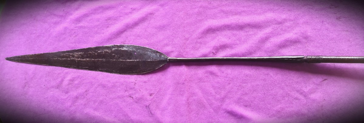 African Spear With A Long Tip, Drc, 19th Century-photo-3