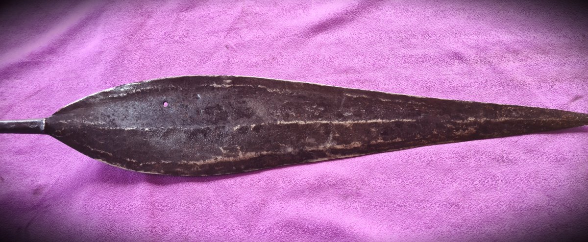 African Spear With A Long Tip, Drc, 19th Century-photo-2