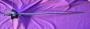 1775547-6a291767071f5.jpg