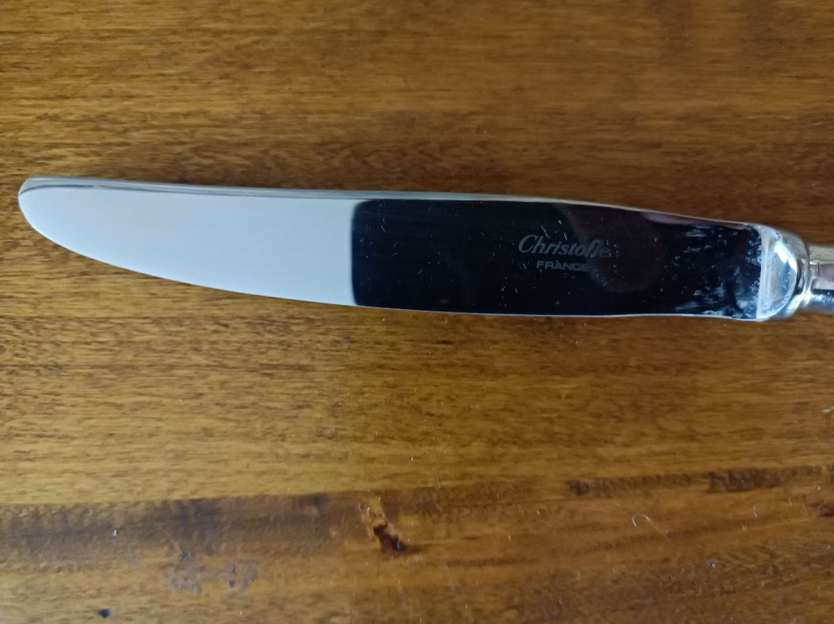 Christofle Albi Model, 12 Silver-plated Table Knives 24.5 Cm-photo-1