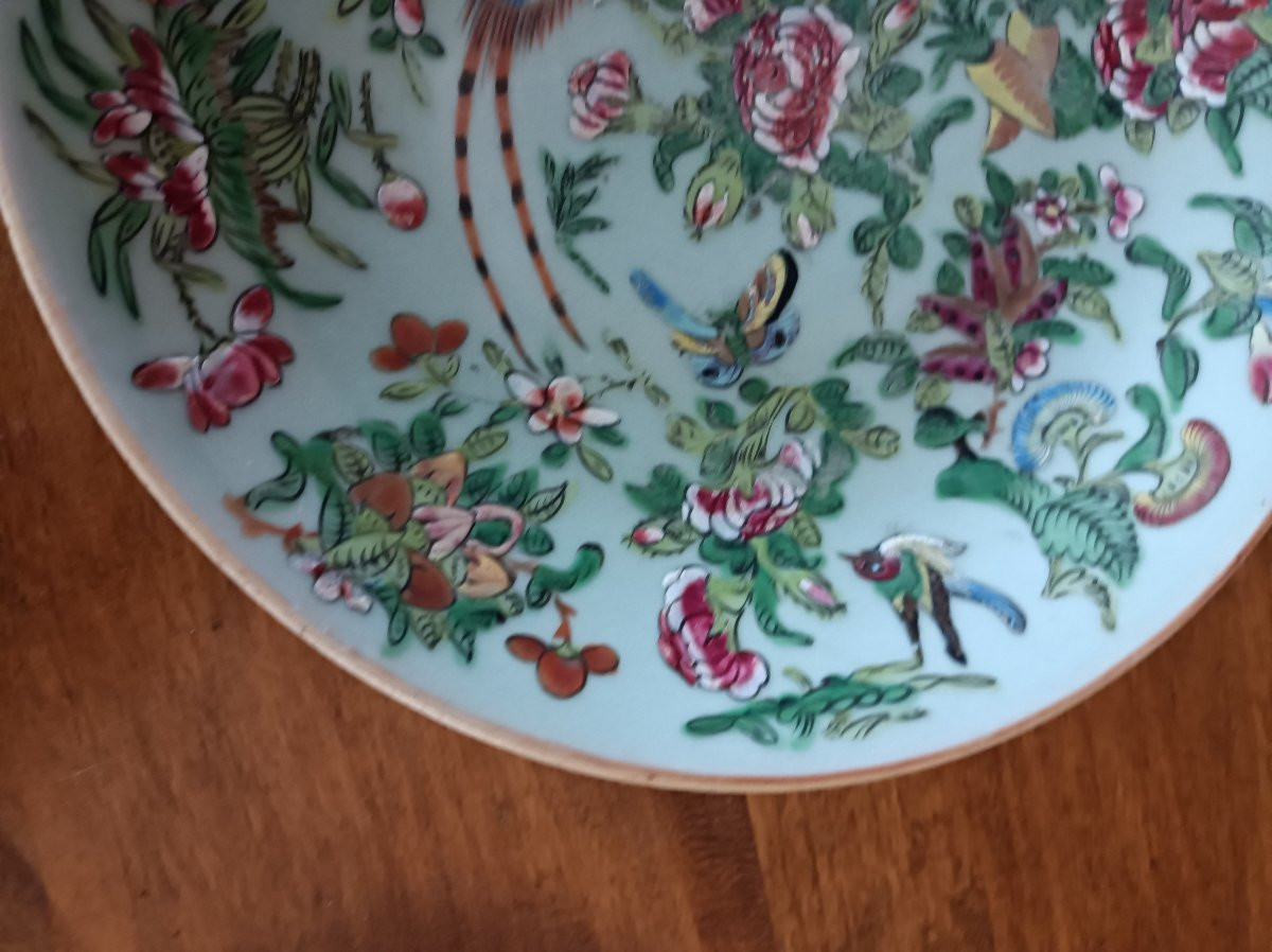 Chine  Assiette En Porcelaine Céladon au émaux de Canton XIXe Siècle -photo-4