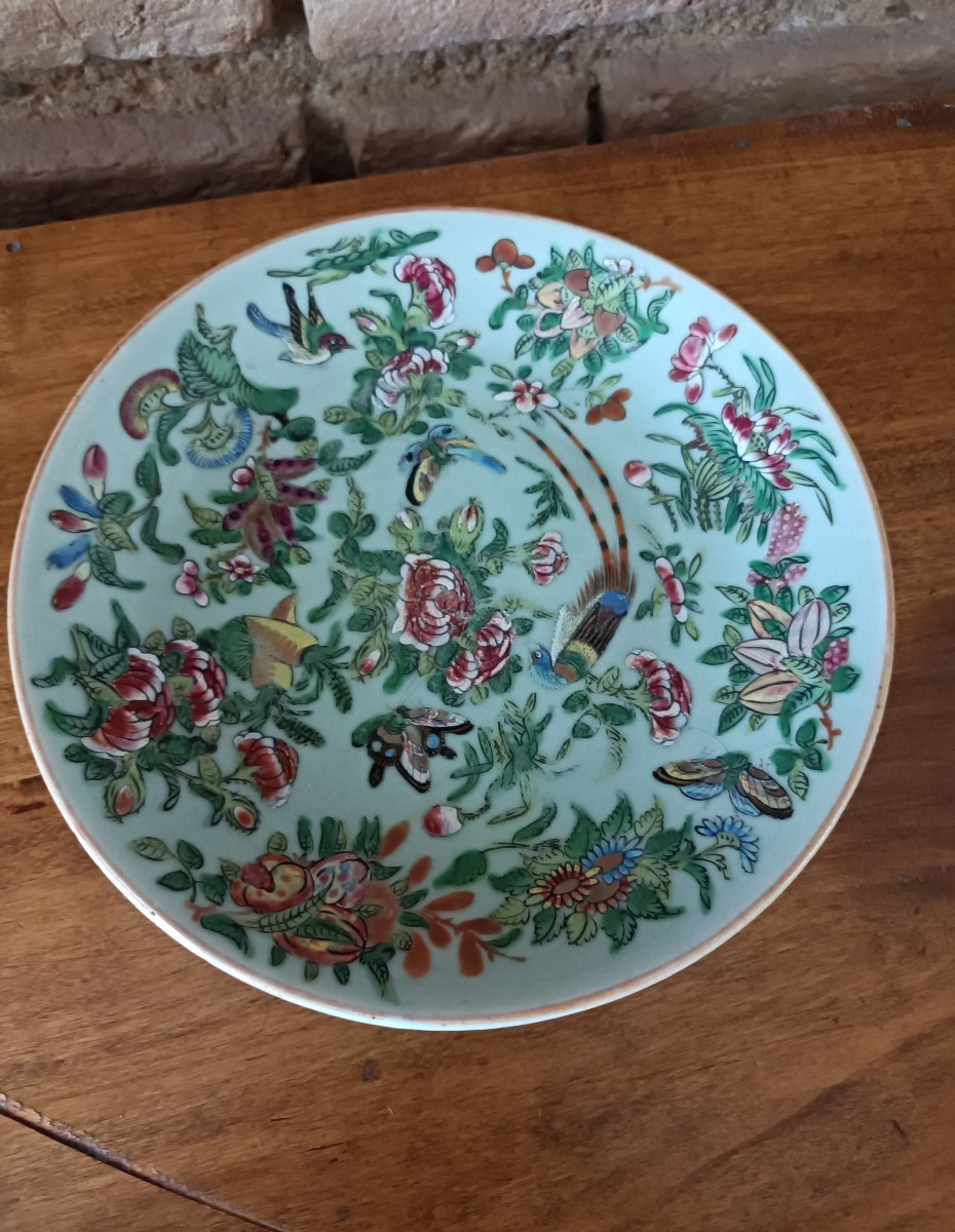 Chine  Assiette En Porcelaine Céladon au émaux de Canton XIXe Siècle 