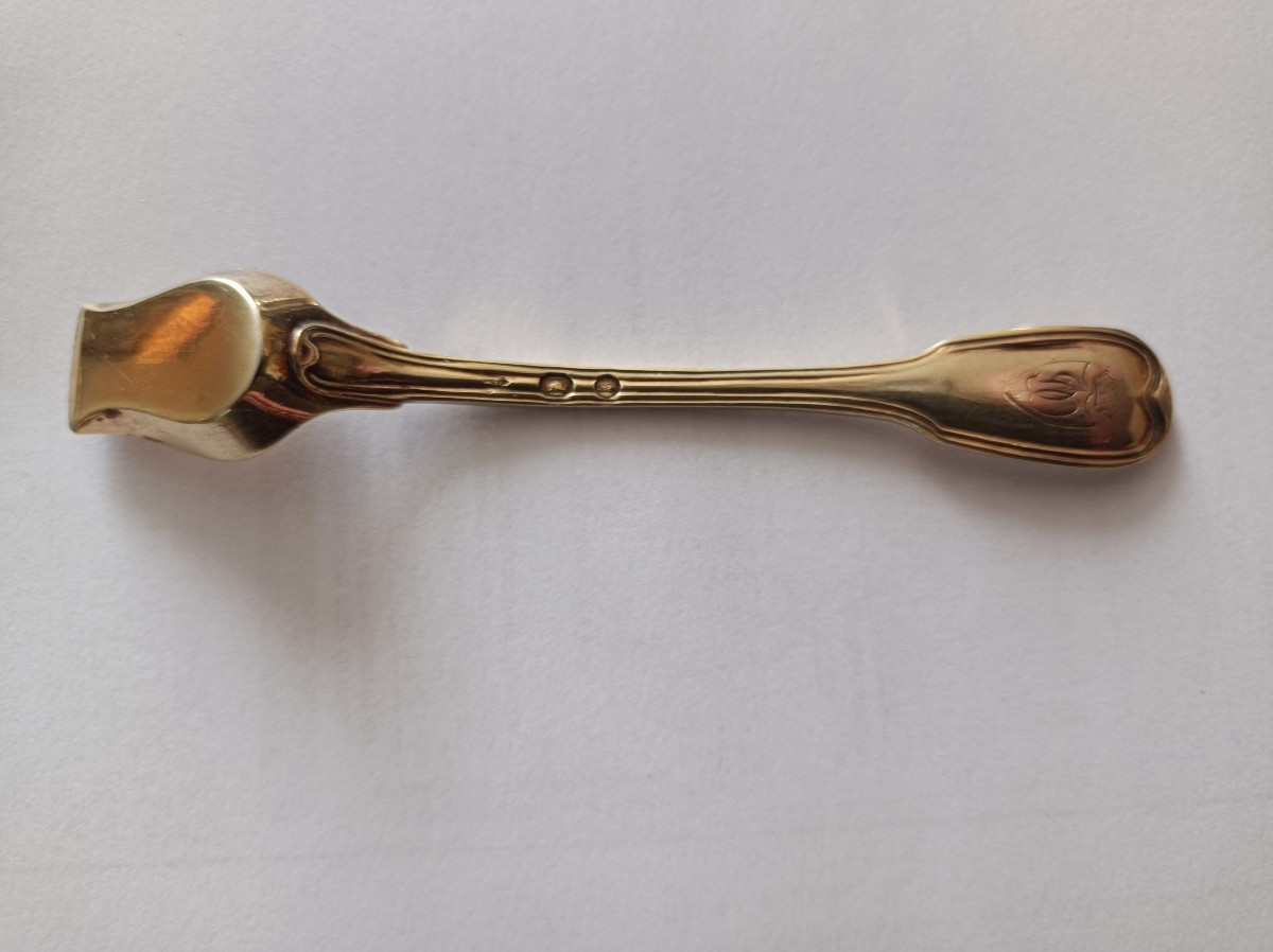 pelle à sels argent vermeil blason sous couronne ducal poinçon Coq XIXè siècle-photo-2