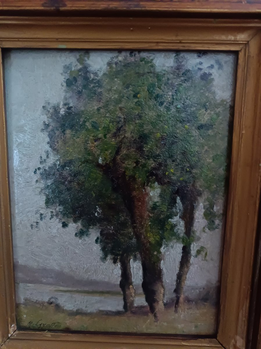 Lavollée Marcel-thomas, Oil On Cardboard, Study Of Willows In The Morning, 1910-photo-2