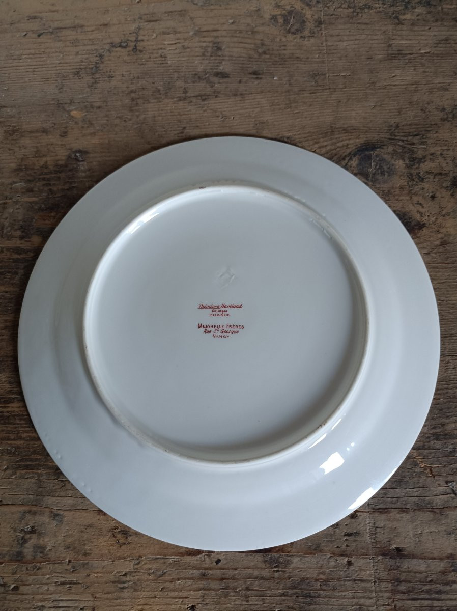 Majorelle Nancy-haviland & Cnie Limoges Porcelain Service With Floral Decoration -photo-6