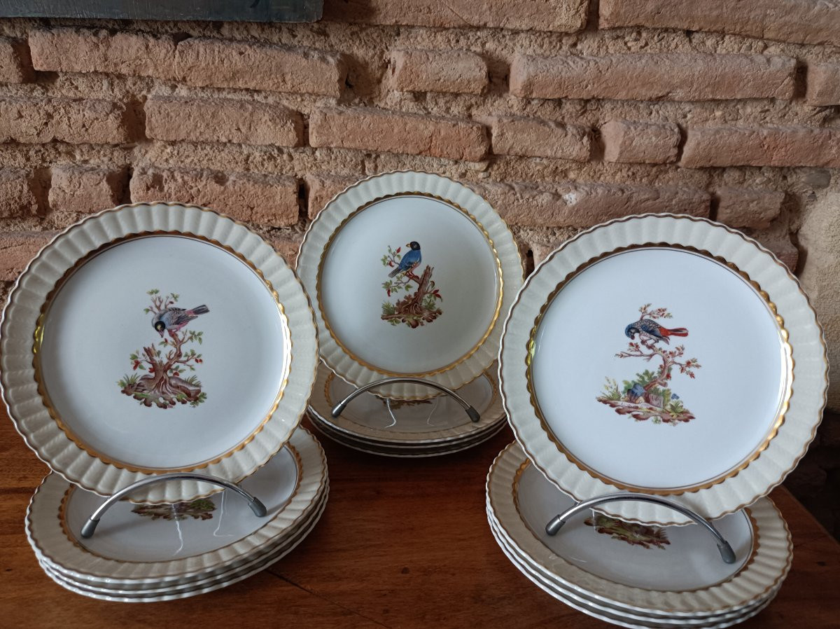 Bernadaud In Limoges, 12 Dessert Plates After A Collection By Edward Catesby-photo-4