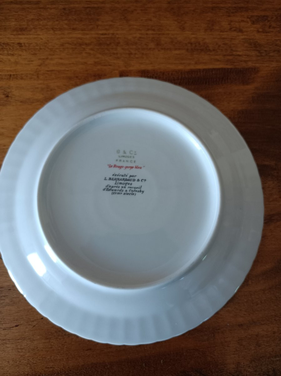 Bernadaud In Limoges, 12 Dessert Plates After A Collection By Edward Catesby-photo-2