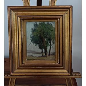 Lavollée Marcel-thomas, Oil On Cardboard, Study Of Willows In The Morning, 1910