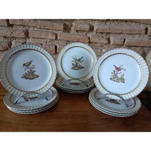 Bernadaud In Limoges, 12 Dessert Plates After A Collection By Edward Catesby