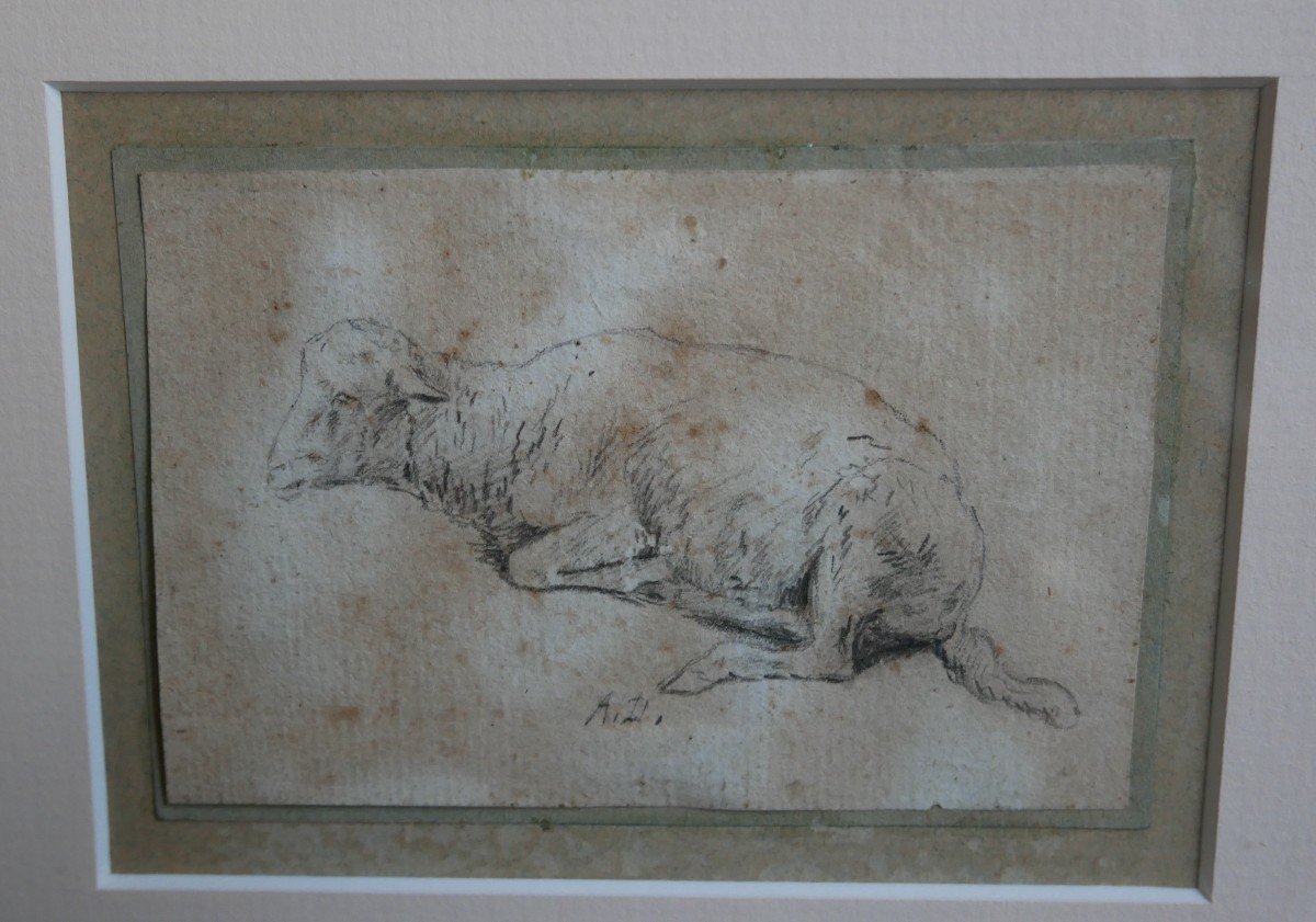 Etude De Mouton, Encre Sur Papier, Dessin Animalier, Signé, XIXème-photo-2