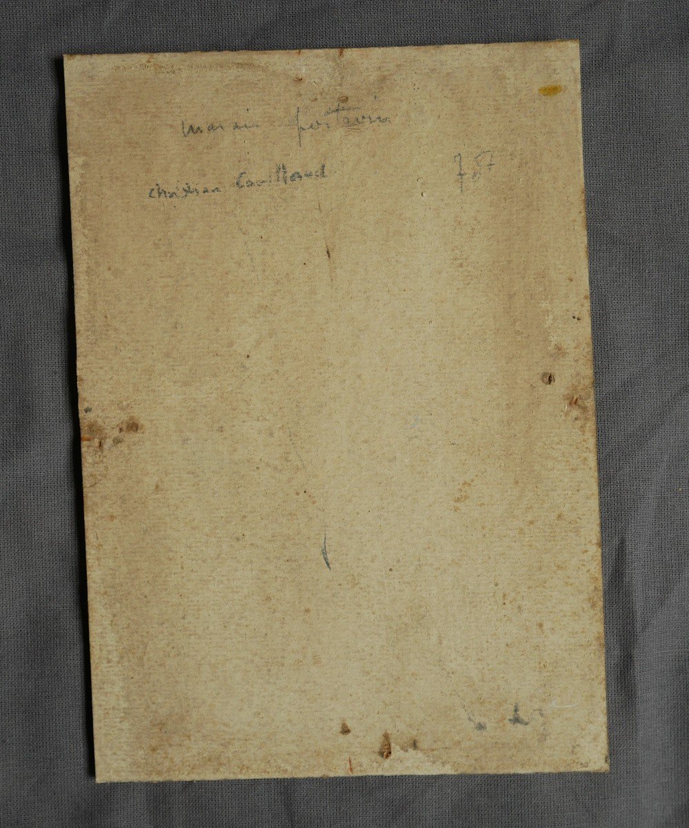Christian Couillaud, Marais Poitevin, Huile Sur Carton, Signée, XXème-photo-4
