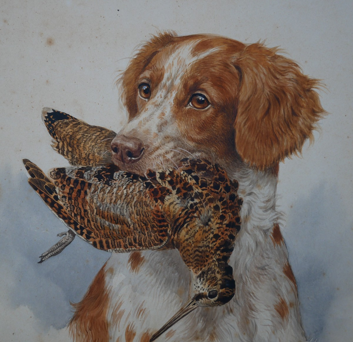 Boris Riab, Spaniel And Woodcock, Ink And Watercolor On Paper, Signed, Hunting, 39/32, 20th Century-photo-2