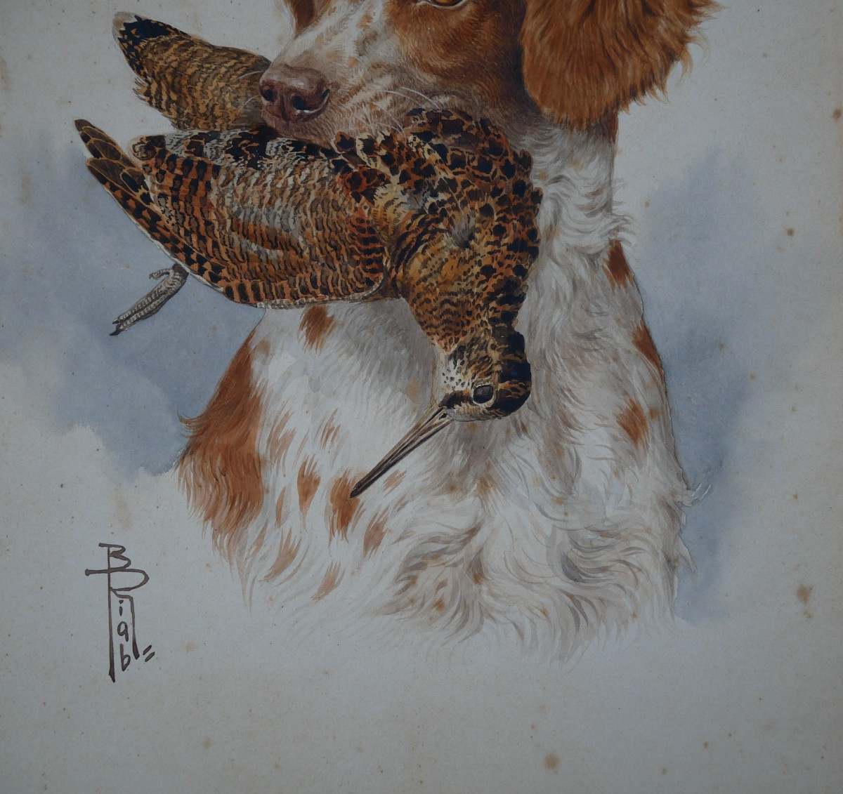 Boris Riab, Spaniel And Woodcock, Ink And Watercolor On Paper, Signed, Hunting, 39/32, 20th Century-photo-3