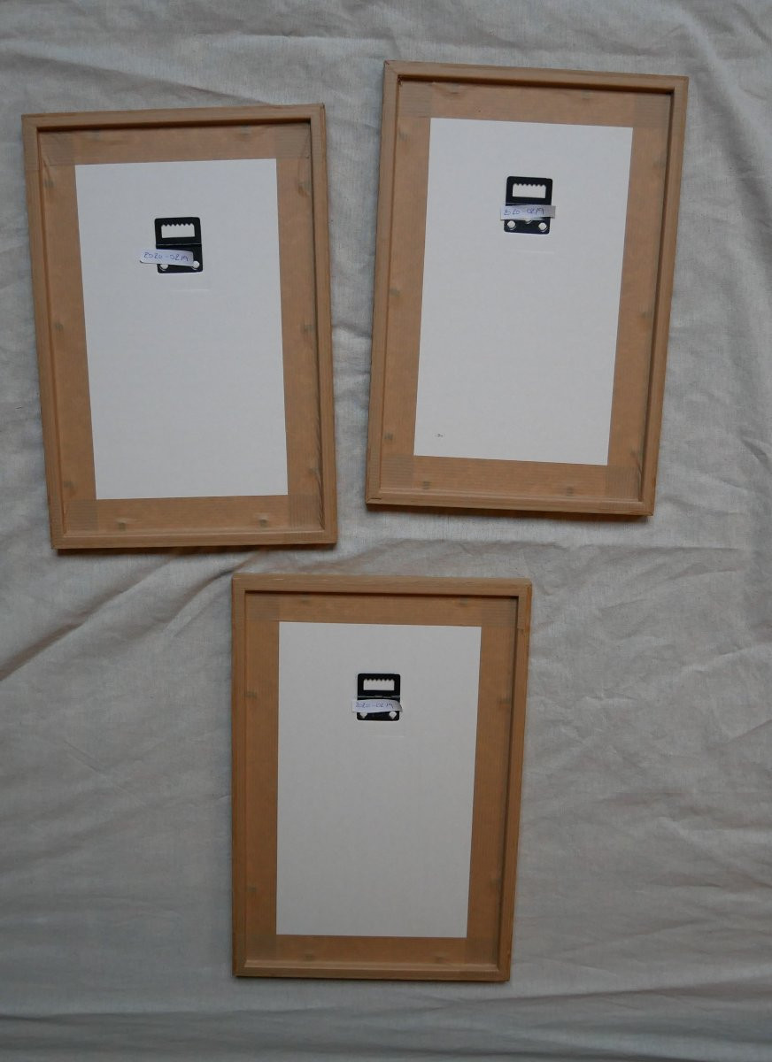 Natural History, 3 Watercolor Plates In Frame, 19th Century-photo-4