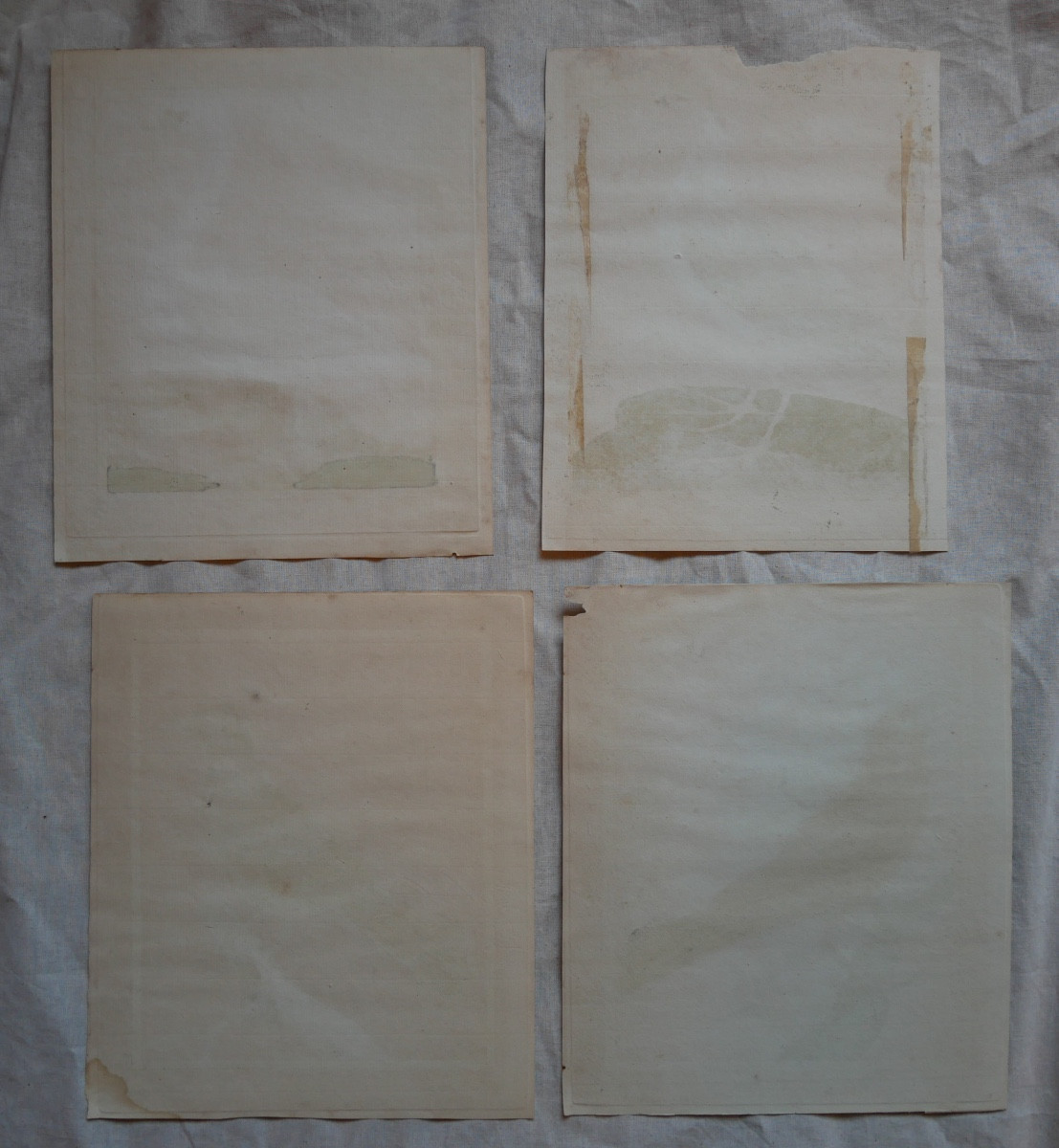 François-Nicolas Martinet, Quatre Gravures Ornithologiques Aquarellées, Brisson, XVIIIème-photo-2