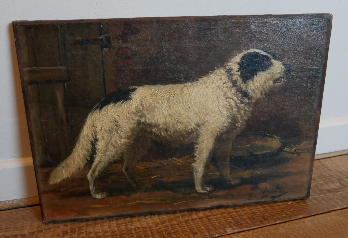 Portrait de Chien, Huile sur Toile, XIXème siècle