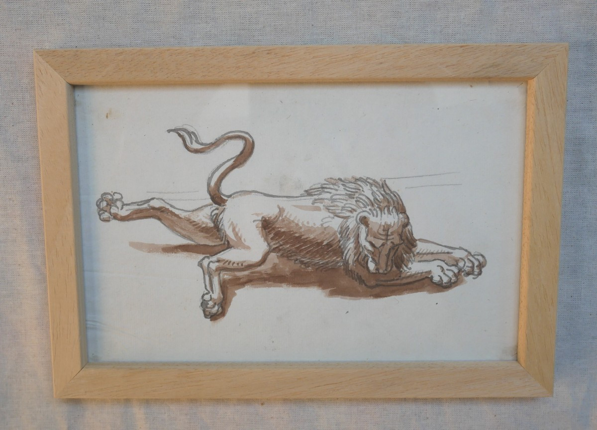 Study Of A Lion, Ink On Paper, Michel Nitot, Charles Dufresne, 19th Century