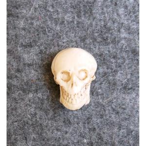 Vanité, Memento Mori, Crâne sculpté, XVIIIème siècle