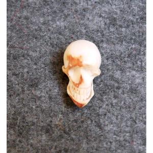 Vanité, Memento Mori, Crâne Sculpté, XVIIIème Siècle