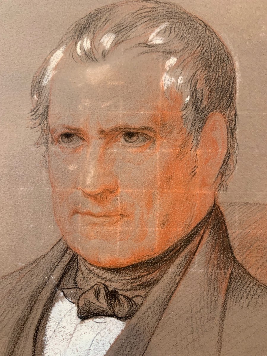 Drawing By Professor Henri Ducrotay De Blainville, Early 19th Century-photo-3