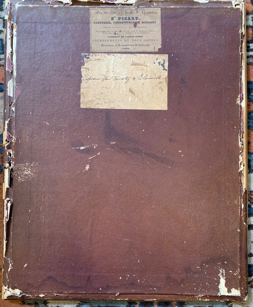 Drawing By Professor Henri Ducrotay De Blainville, Early 19th Century-photo-1